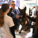 CARABINIERI PROTAGONISTI A ORIENTAPUGLIA 2026: GRANDE ENTUSIASMO DEGLI STUDENTI A FOGGIA